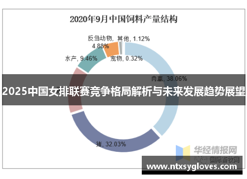 2025中国女排联赛竞争格局解析与未来发展趋势展望