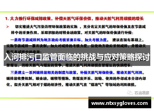 入河排污口监管面临的挑战与应对策略探讨
