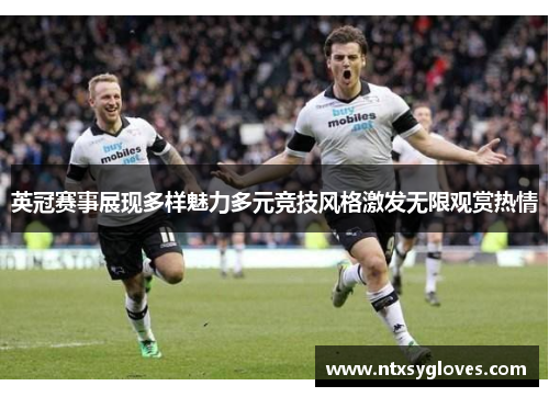 英冠赛事展现多样魅力多元竞技风格激发无限观赏热情