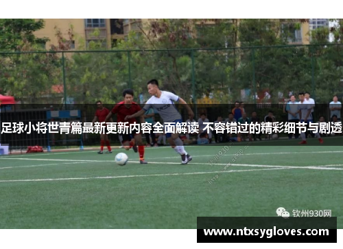 足球小将世青篇最新更新内容全面解读 不容错过的精彩细节与剧透