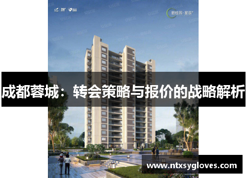 成都蓉城：转会策略与报价的战略解析
