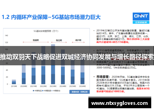 推动双羽天下战略促进双城经济协同发展与增长路径探索